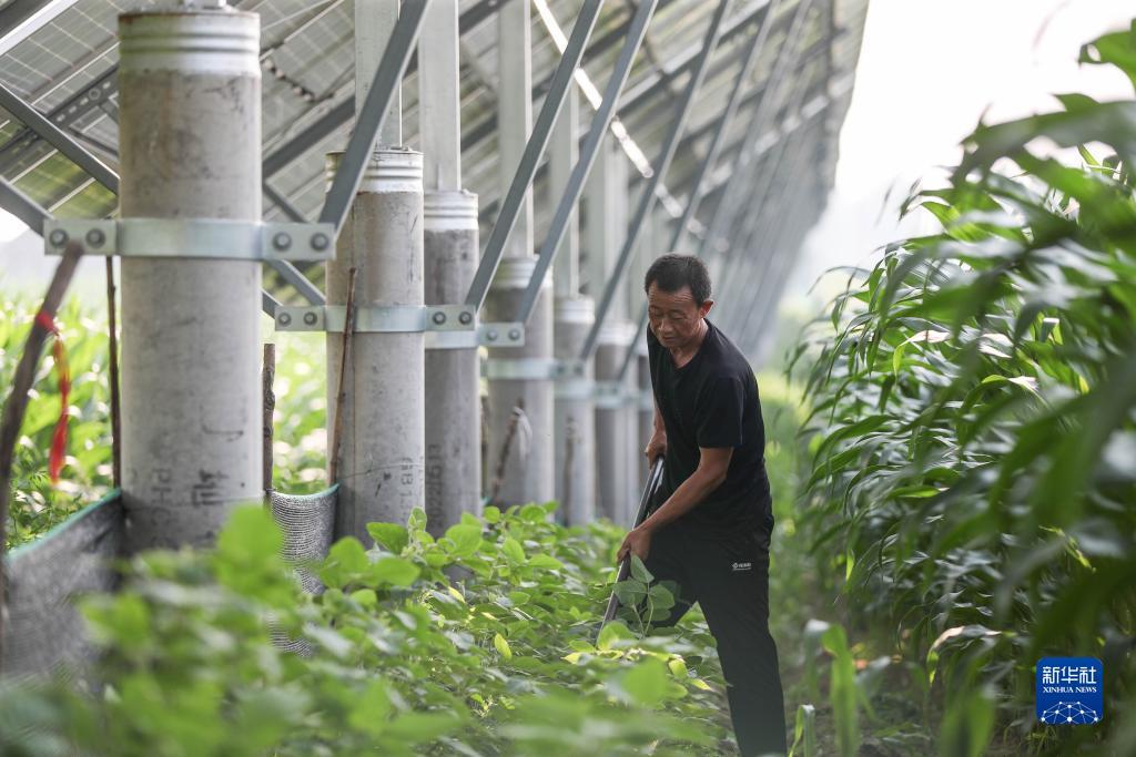 澳门巴黎人投注平台